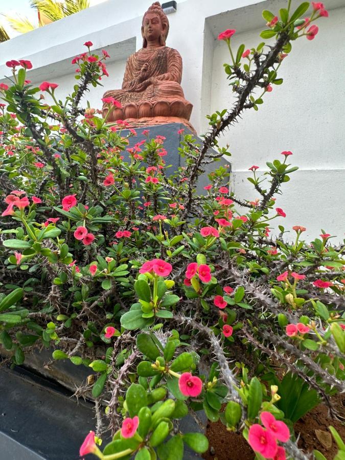 Buddha Beach Hotel Kovalam Eksteriør billede