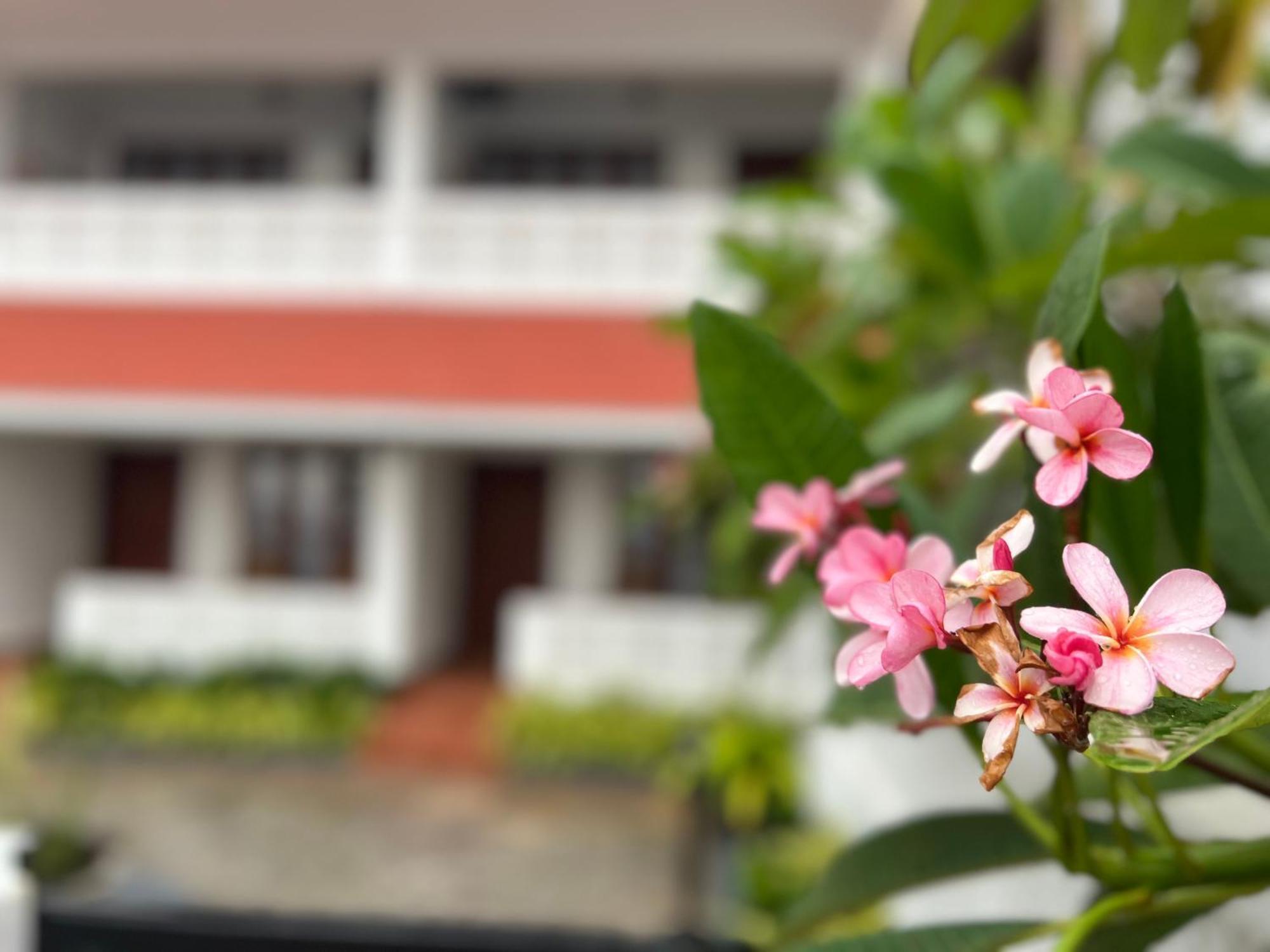 Buddha Beach Hotel Kovalam Eksteriør billede